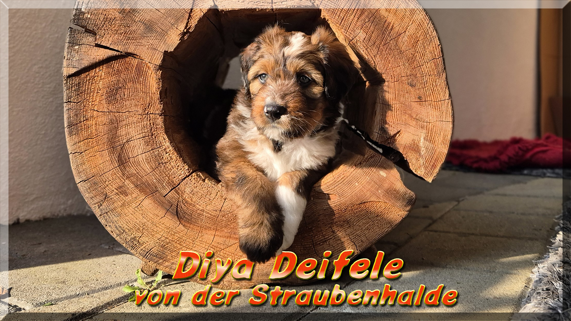 Diya-von-der-Straubenhalde 2025